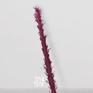 Palo de madera para piñata